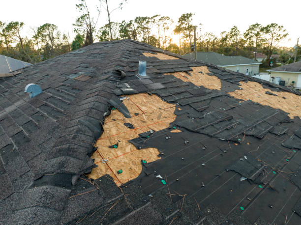 Best Gutter Installation and Repair  in Alvord, TX
